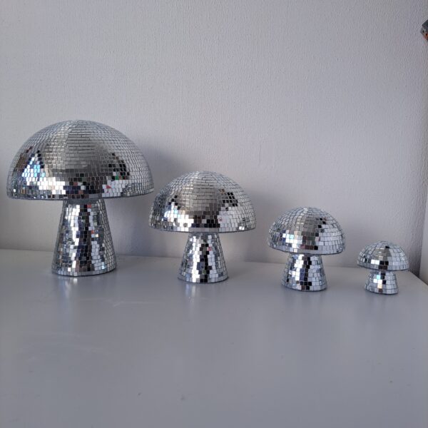 20230115_111051 (1) Disco mushroom