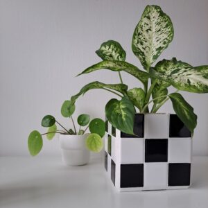 Double use tiled cube, use as plant standard or plant pot