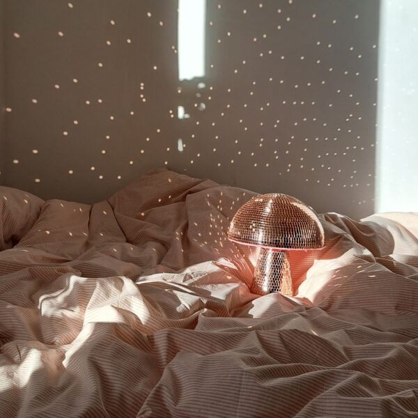 20230304_162243-EDIT Disco mushroom