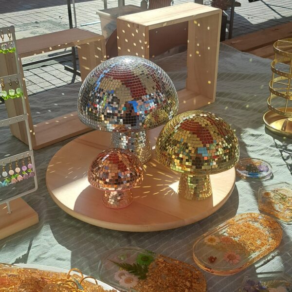 20240714_093421-EDIT Disco mushroom