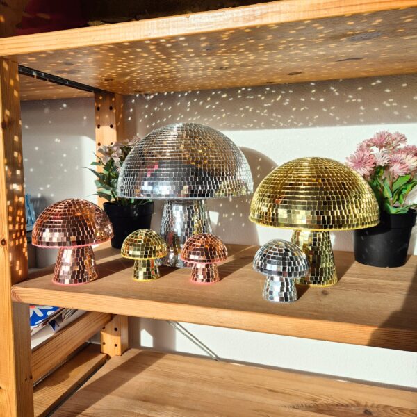 20241219_141657~2-EDIT Disco mushroom