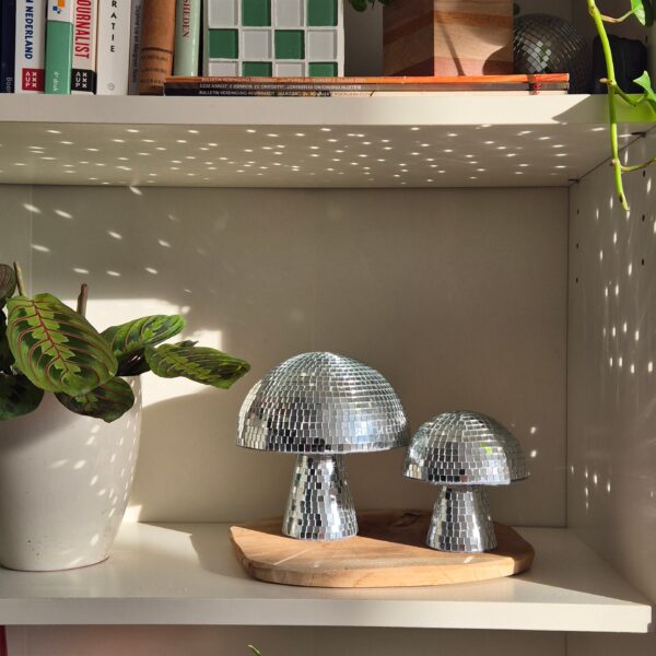 20250108_135002-EDIT Disco mushroom