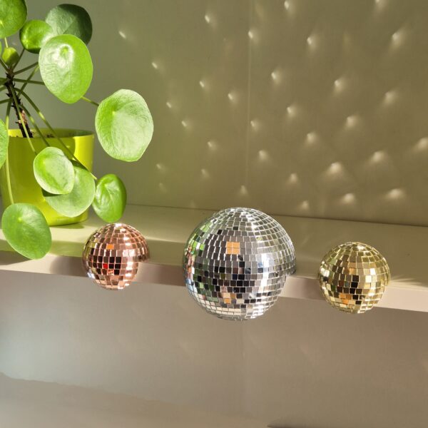 20241203_121349~2 Disco floater