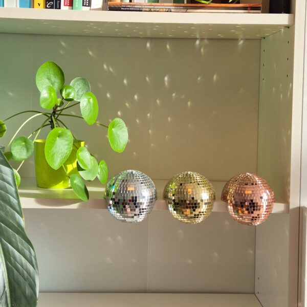 20241203_121914-EDIT Disco floater