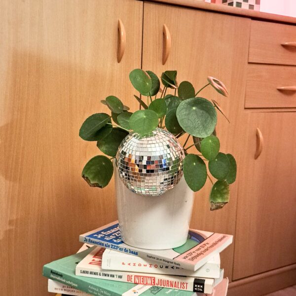 20240603_230932~3 Floating plant disco ball