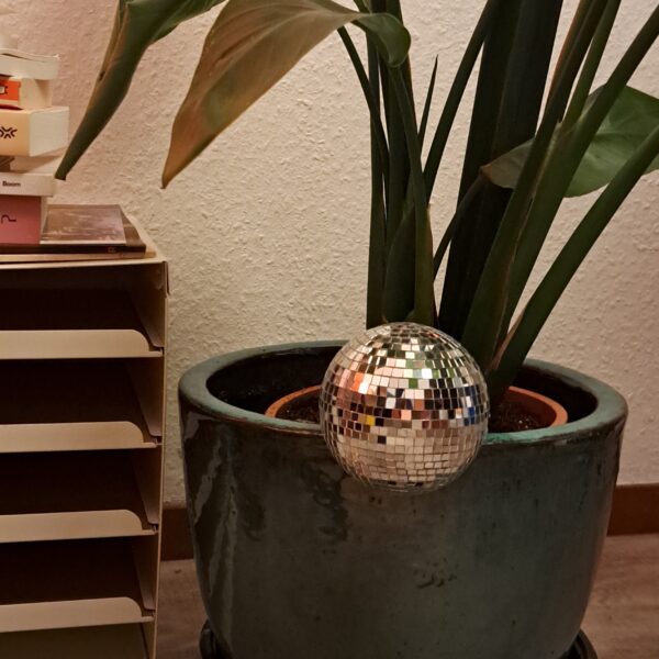 20240603_231302~2 Floating plant disco ball