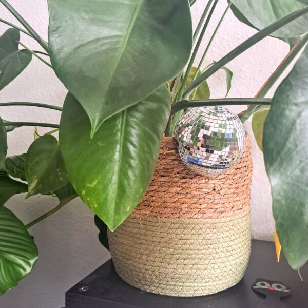 20240604_085803~3 Floating plant disco ball