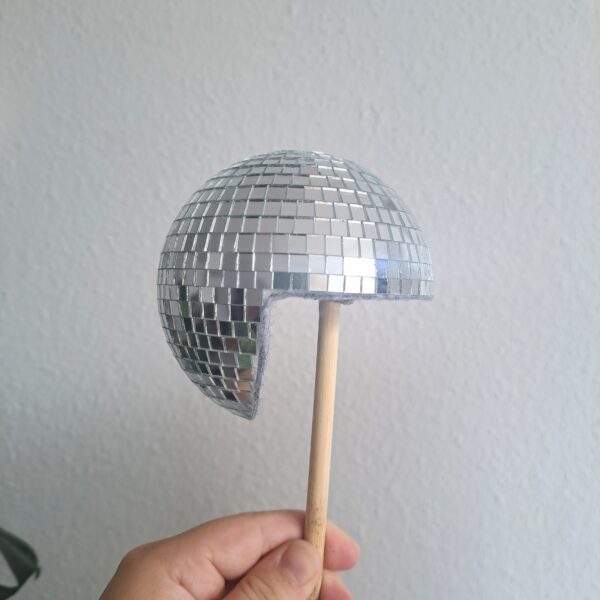 20240604_085851~2 Floating plant disco ball