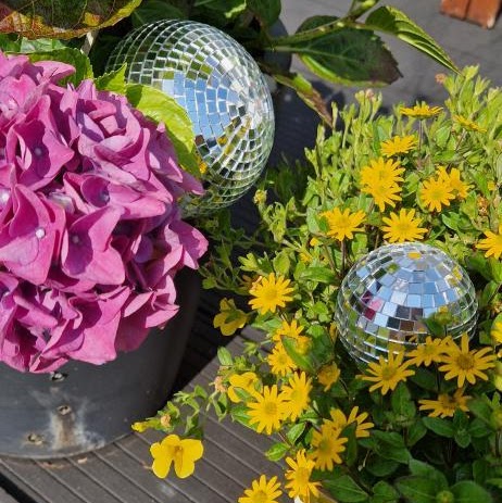 IMG_20240719_174007_755-EDIT Floating plant disco ball