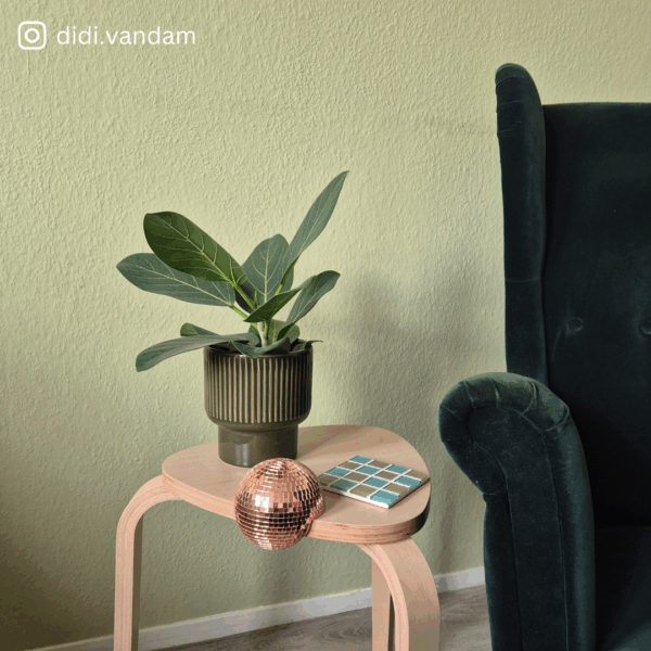 2024 (22) Disco floater