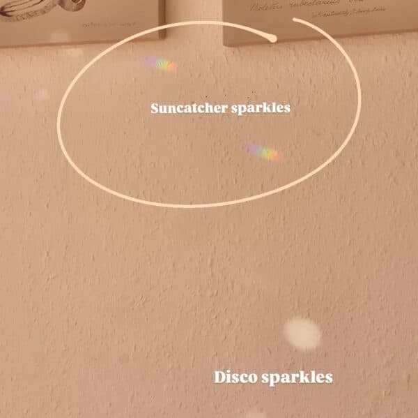 IMG_20251104_193815_682-EDIT Suncathcers with reflective glass pendants