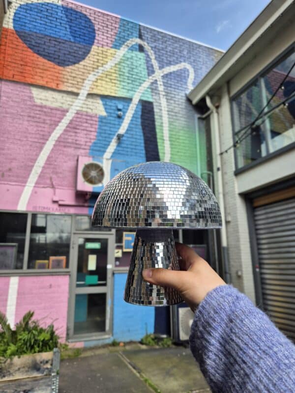 20260412_142035 Disco mushroom